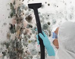 Why You Should Choose Our Mold Remediation Services in Lyons, GA